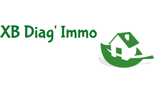 logo xb diag immo